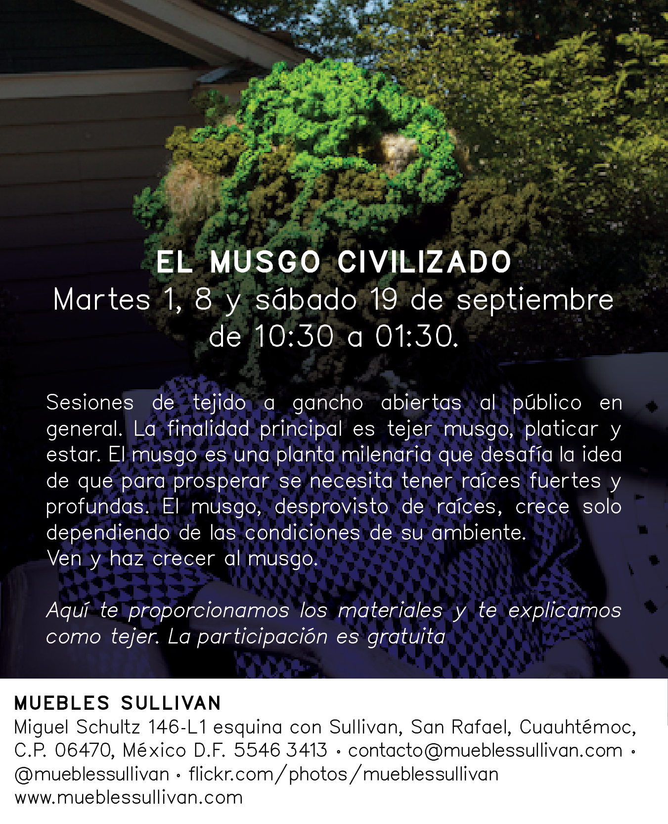 EL MUSGO CIVILIZADO